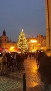 Sapin de Noël dans une place de Prague