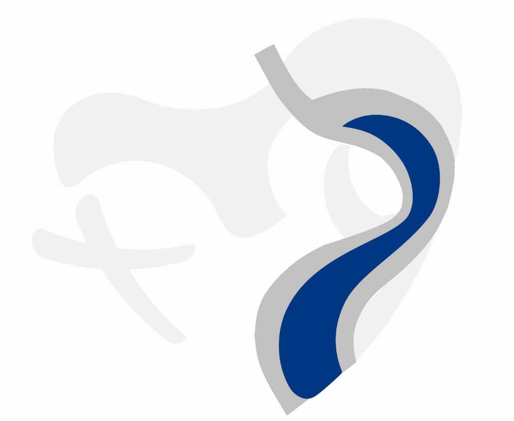 logo motif Canal de Panama